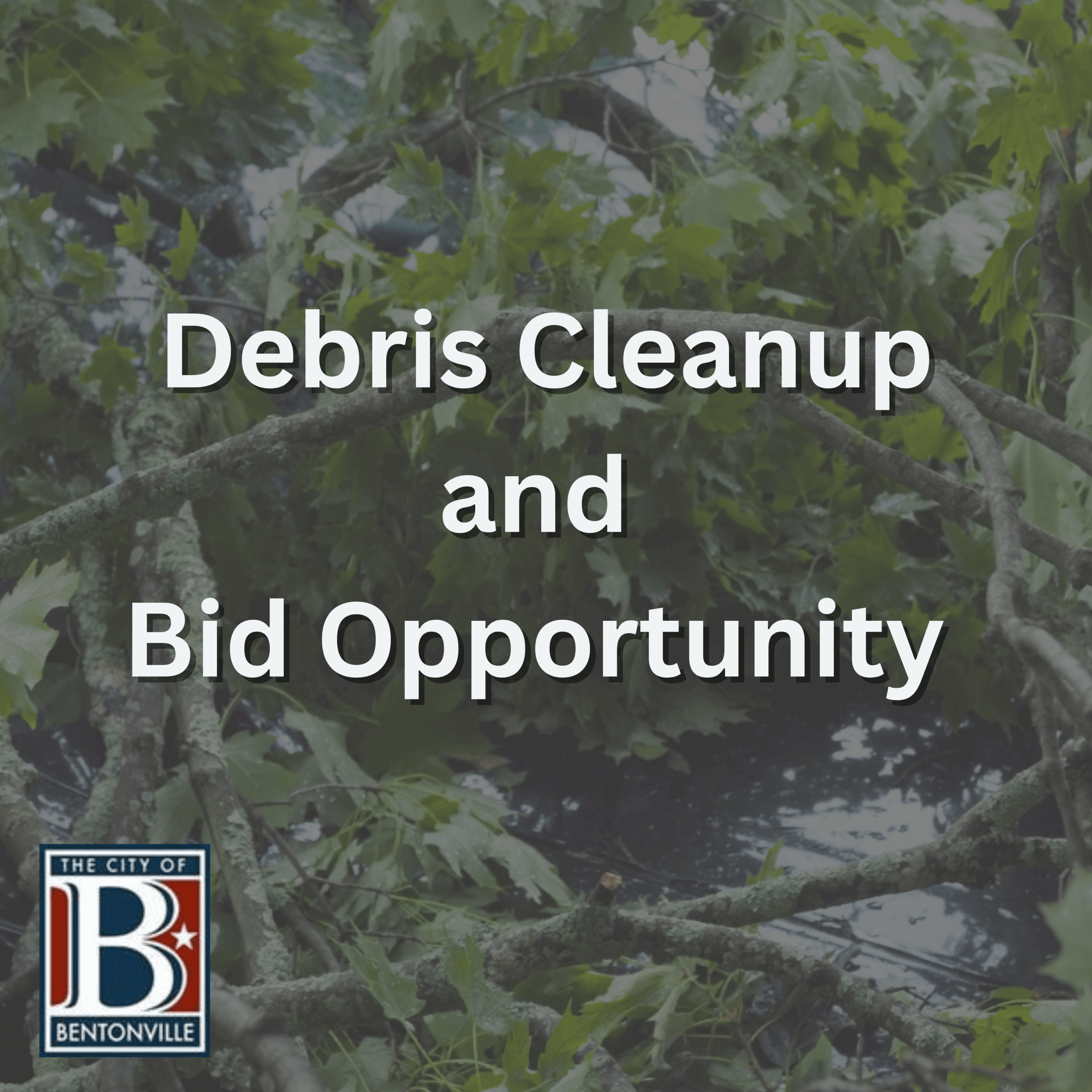 Disaster Relief Information (2)