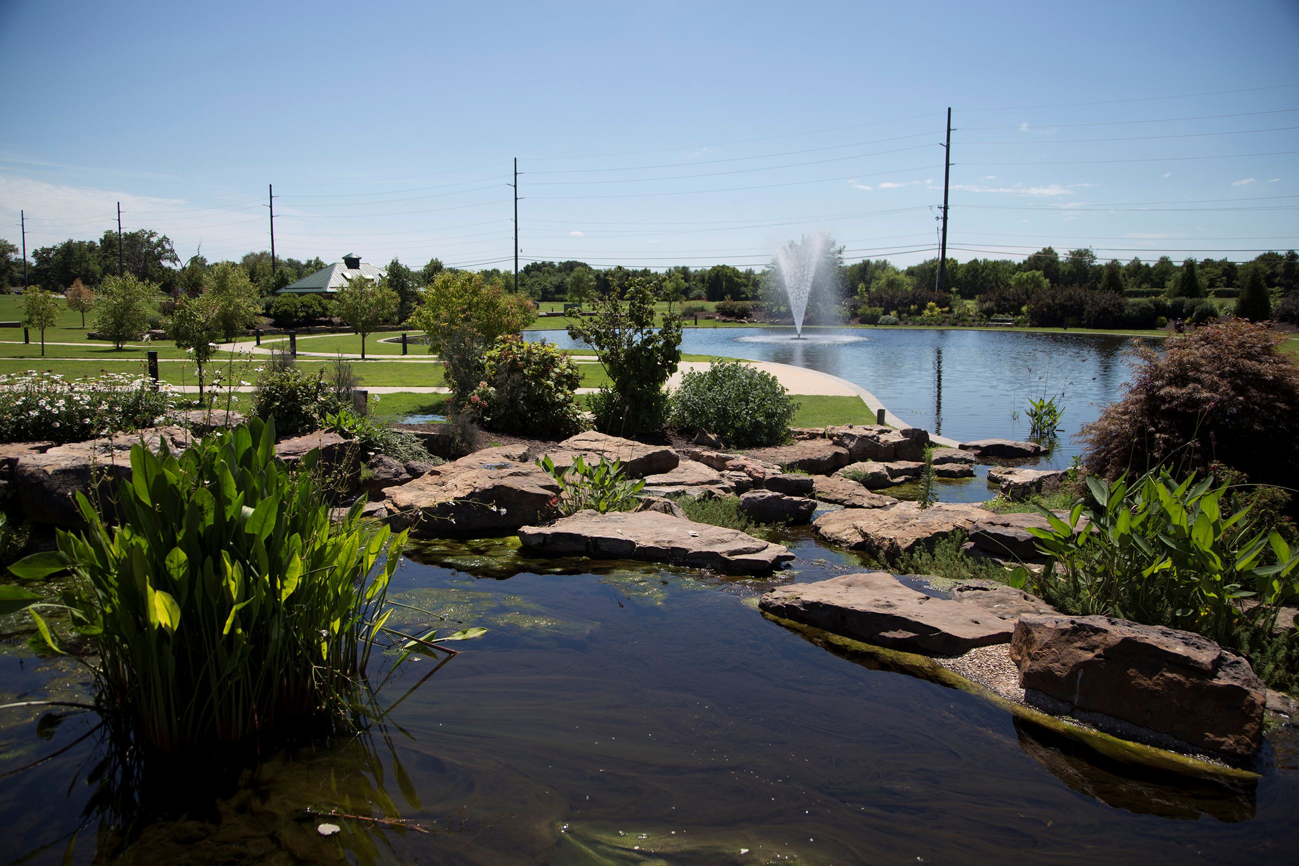 Image of manmade ponds with foliage and a fountain